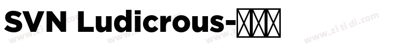 SVN Ludicrous字体转换